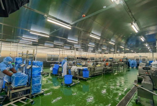 配送服務背后的質量堅守 七道檢測下的2.6萬名師生體驗